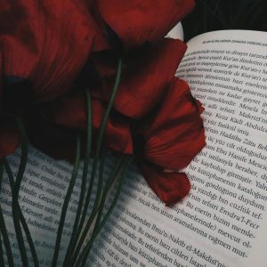 A close-up shot of vibrant red poppies placed on an open book, creating an artistic and moody composition.